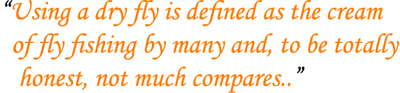 “Using a dry fly is defined as the cream of fly fishing by many and, to be totally honest, not much compares..”