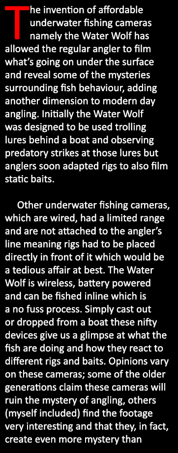 The invention of affordable underwater fishing cameras namely the Water Wolf has allowed the regular angler to film w...