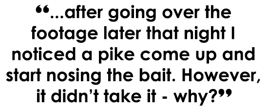 “...after going over the footage later that night I noticed a pike come up and start nosing the bait. However, it did...