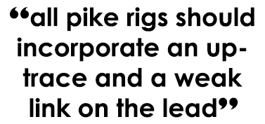 “all pike rigs should incorporate an up-trace and a weak link on the lead”