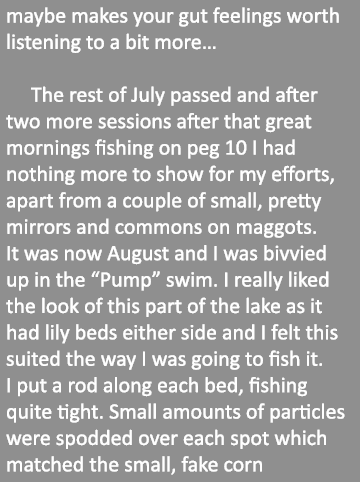 maybe makes your gut feelings worth listening to a bit more…    The rest of July passed and after two more sessions a...