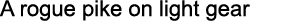 A rogue pike on light gear