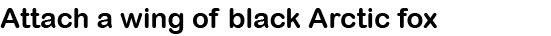 Attach a wing of black Arctic fox