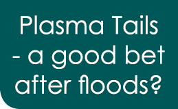 Plasma Tails - a good bet after floods?