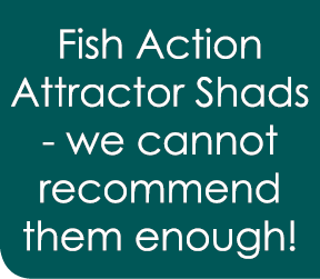 Fish Action Attractor Shads - we cannot recommend them enough!