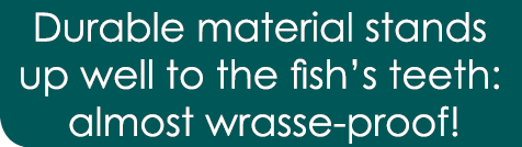 Durable material stands up well to the fish’s teeth: almost wrasse-proof!