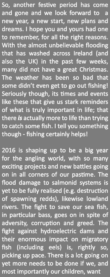 So, another festive period has come and gone and we look forward to a new year, a new start, new plans and dreams. I ...