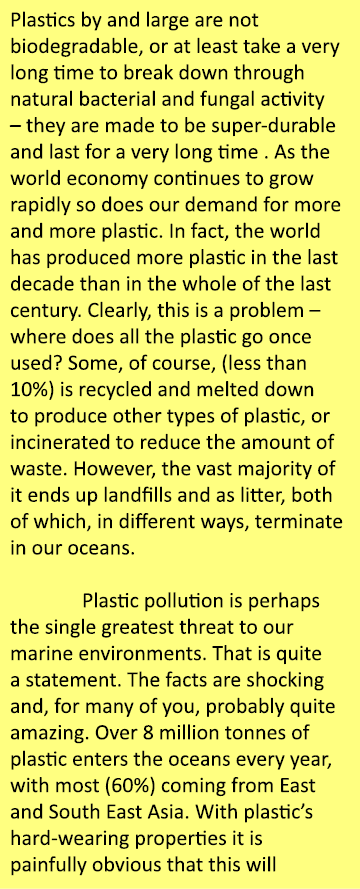 Plastics by and large are not biodegradable, or at least take a very long time to break down through natural bacteria...