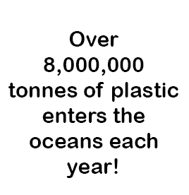  Over 8,000,000 tonnes of plastic enters the oceans each year!