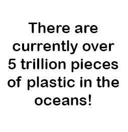  There are currently over 5 trillion pieces of plastic in the oceans!