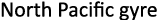 North Pacific gyre
