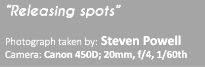 “Releasing spots” Photograph taken by: Steven Powell Camera: Canon 450D; 20mm, f/4, 1/60th