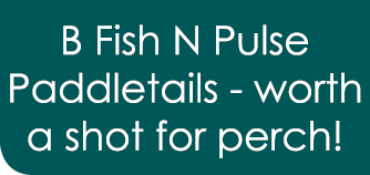 B Fish N Pulse Paddletails - worth a shot for perch!