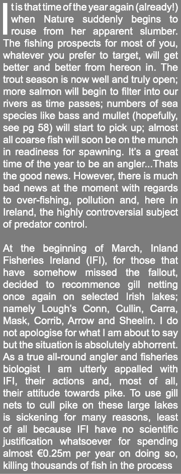 It is that time of the year again (already!) when Nature suddenly begins to rouse from her apparent slumber. The fish...