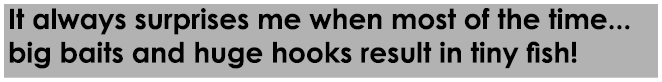 It always surprises me when most of the time... big baits and huge hooks result in tiny fish!