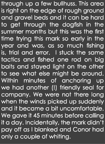 through up a few bullhuss. This area is right on the edge of rough ground and gravel beds and it can be hard to get t...