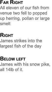 Far Right All eleven of our fish from venue two fell to popped up herring, pollan or large smelt Right James strikes ...