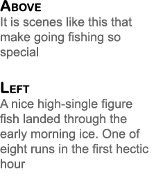 Above It is scenes like this that make going fishing so special Left A nice high-single figure fish landed through th...