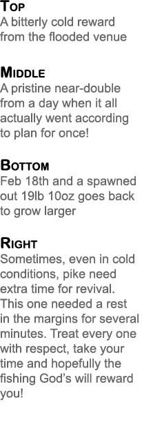 Top A bitterly cold reward from the flooded venue Middle A pristine near-double from a day when it all actually went ...
