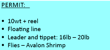 Permit:         • 10wt + reel • Floating line • Leader and tippet: 16lb – 20lb • Flies – Avalon Shrimp
