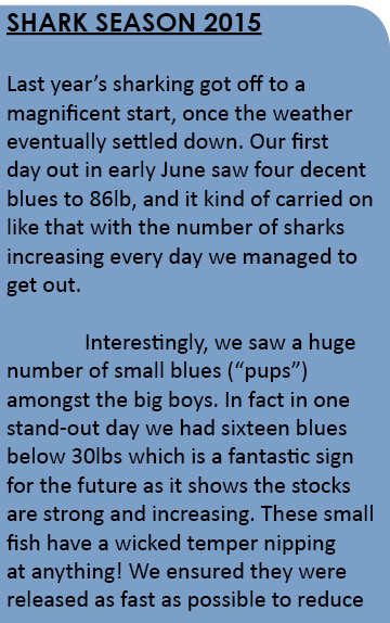 Shark season 2015 Last year’s sharking got off to a magnificent start, once the weather eventually settled down. Our ...