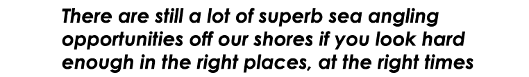 There are still a lot of superb sea angling opportunities off our shores if you look hard enough in the right places,...