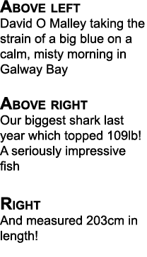 Above left David O Malley taking the strain of a big blue on a calm, misty morning in Galway Bay Above right Our bigg...