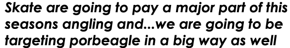 Skate are going to pay a major part of this seasons angling and...we are going to be targeting porbeagle in a big way...