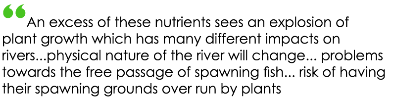 “An excess of these nutrients sees an explosion of plant growth which has many different impacts on rivers...physical...