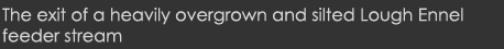 The exit of a heavily overgrown and silted Lough Ennel feeder stream