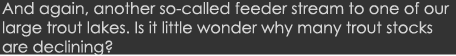 And again, another so-called feeder stream to one of our large trout lakes. Is it little wonder why many trout stocks...