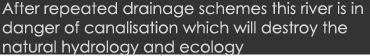 After repeated drainage schemes this river is in danger of canalisation which will destroy the natural hydrology and ...