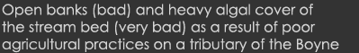 Open banks (bad) and heavy algal cover of the stream bed (very bad) as a result of poor agricultural practices on a t...