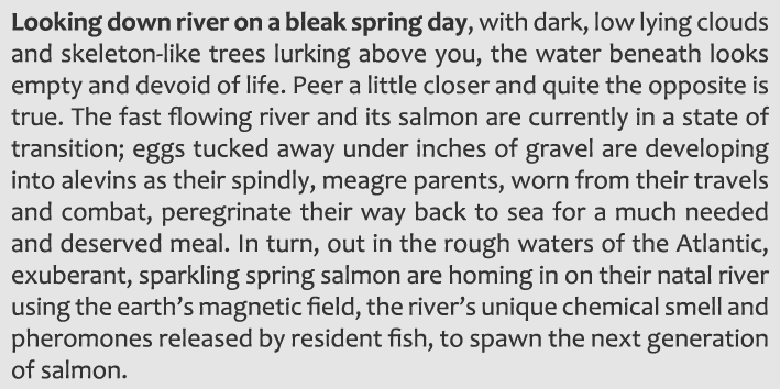 Looking down river on a bleak spring day, with dark, low lying clouds and skeleton-like trees lurking above you, the ...
