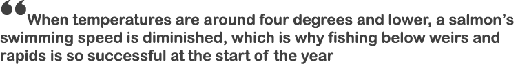 “When temperatures are around four degrees and lower, a salmon’s swimming speed is diminished, which is why fishing b...
