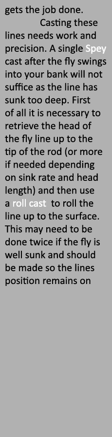 gets the job done. Casting these lines needs work and precision. A single Spey cast after the fly swings into your ba...
