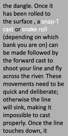 the dangle. Once it has been rolled to the surface , a snap-T cast or snake roll (depending on which bank you are on)...
