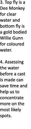 3. Top fly is a Dee Monkey for clear water and bottom fly is a gold bodied Willie Gunn for coloured water. 4. Assessi...