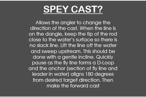  Spey cast? Allows the angler to change the direction of the cast. When the line is on the dangle, keep the tip of th...