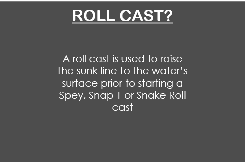  Roll cast?  A roll cast is used to raise the sunk line to the water’s surface prior to starting a Spey, Snap-T or Sn...