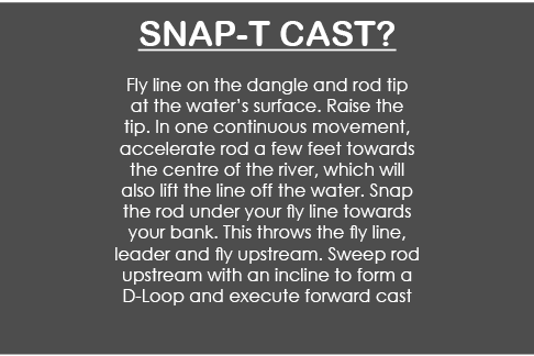  Snap-t cast? Fly line on the dangle and rod tip at the water’s surface. Raise the tip. In one continuous movement, a...
