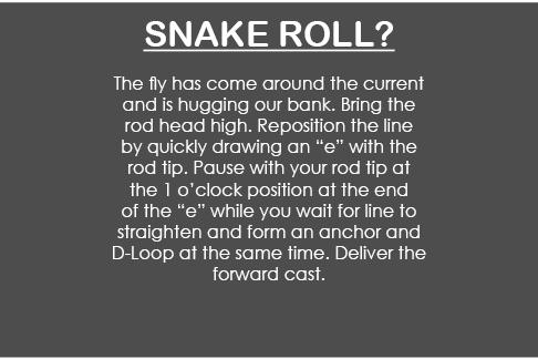  snake roll? The fly has come around the current and is hugging our bank. Bring the rod head high. Reposition the lin...