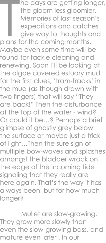 The days are getting longer, the gloom less gloomier. Memories of last season’s expeditions and catches give way to t...