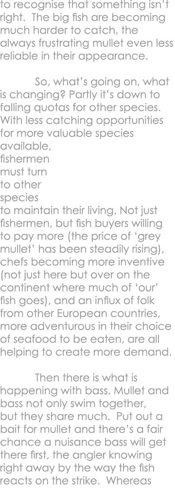to recognise that something isn’t right. The big fish are becoming much harder to catch, the always frustrating mulle...