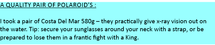 A quality pair of polaroid’s : I took a pair of Costa Del Mar 580g – they practically give x-ray vision out on the wa...