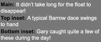 Main: It didn’t take long for the float to disappear! Top inset: A typical Barrow dace swings to hand Bottom inset: G...