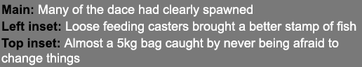 Main: Many of the dace had clearly spawned Left inset: Loose feeding casters brought a better stamp of fish Top inset...