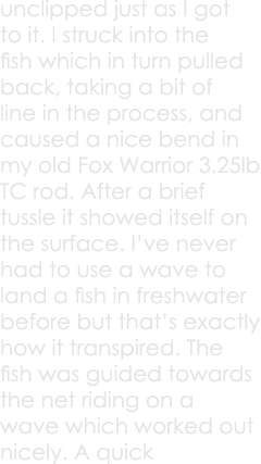 unclipped just as I got to it. I struck into the fish which in turn pulled back, taking a bit of line in the process,...