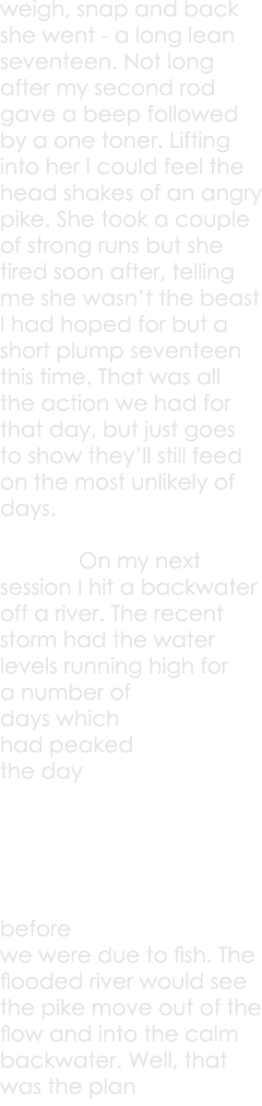weigh, snap and back she went - a long lean seventeen. Not long after my second rod gave a beep followed by a one ton...
