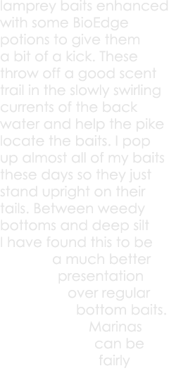 lamprey baits enhanced with some BioEdge potions to give them a bit of a kick. These throw off a good scent trail in ...
